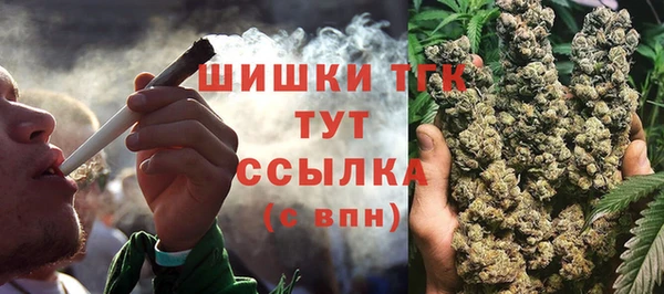 МДПВ Медвежьегорск